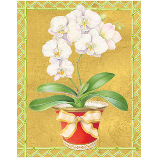 White Orchid In Red Pot Petite Boxed Christmas Cards - includes 15 cards & envelopes