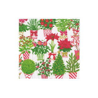 Christmas Flower Market Boxed Cocktail Napkins - 40 Per Box