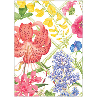 Floral Trellis Boxed Note Cards - 8 Cards and 8 Envelopes per Package