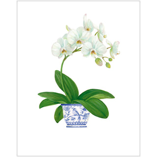 Potted Orchids Boxed Note Cards - 10 Cards and 10 Envelopes per Package