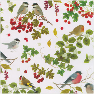 Winter Birds White Gift Wrap - One 76.2 cm X 2.44 m Roll