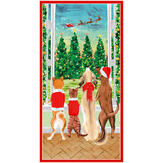 Pets At The Window Money Card - 1 card with envelope