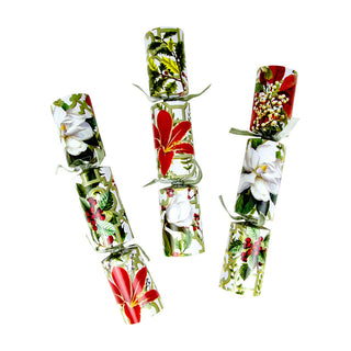 Christmas Garden Christmas Cracker, 12 Inch - 6 per box