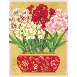 Amaryllis In Pot Christmas Cards in Cello Pack - 5 Cards & 5 Envelopes