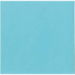 Robin's Egg Paper Linen Dinner Napkins - 12 Per Package