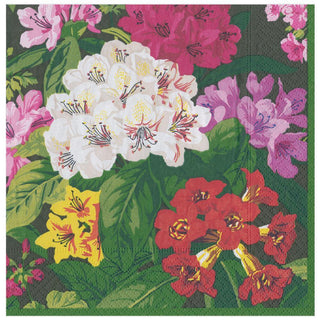 Caspari Exuberance Paper Dinner Napkins in Black - 20 Per Package 14961D