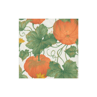 Caspari Heirloom Pumpkins Paper Cocktail Napkins in Ivory & Orange - 20 Per Package 15670C
