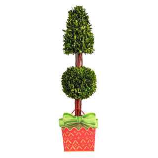 Caspari Cachepot and Ribbon Large Potted Plant Gift Box - 1 Each 9753BCP5