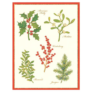 Botanicals Large Embossed Boxed Christmas Cards - 10 Cards & 10 Envelopes