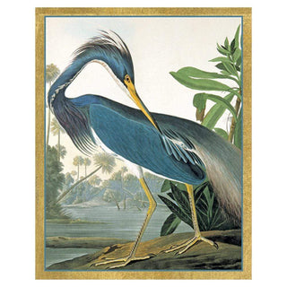 Caspari Audubon Birds Bridge Tally Sheets - 12 Per Package BT127