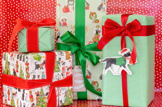 Gift Wrap House: The Dog House