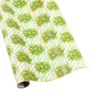 Citrus Topiaries White Roll Wrap 30 Inch X 8Ft-2 Inch Core