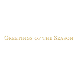 Reindeer Tartan Foil Classic Boxed Christmas Cards - includes 10 cards & envelopes