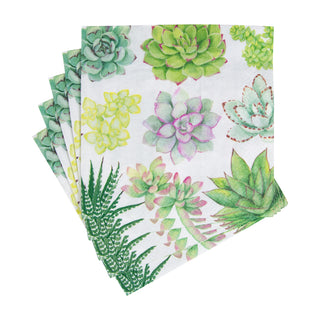 Succulents Napkin Luncheon
