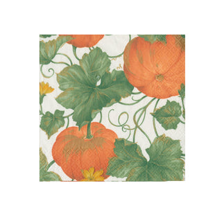 Heirloom Pumpkins Ivory/Orange Napkin Cocktail