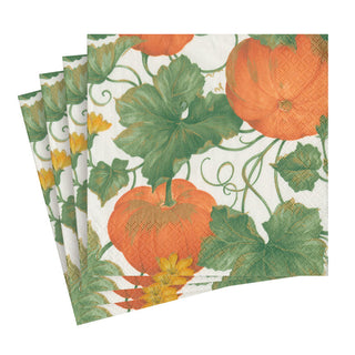 Heirloom Pumpkins Ivory/Orange Napkin Cocktail