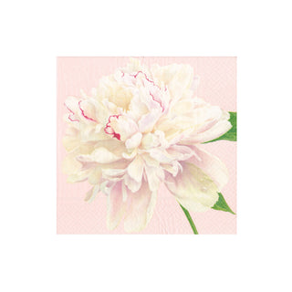 Duchess Peonies Blush Napkin Cocktail