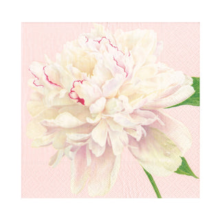 Duchess Peonies Blush Napkin Luncheon