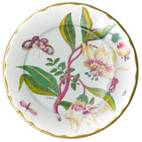 Porcelain Blooms Ivory Dinner Plates - 8 Per Package