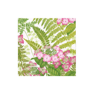 Fern Garden Boxed Cocktail Napkins - 40 Per Box