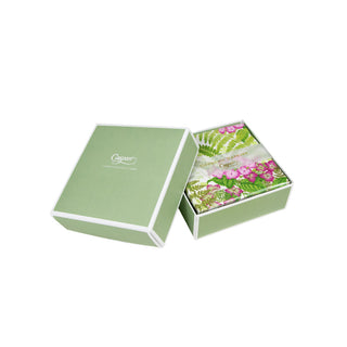Fern Garden  Napkin Box Cocktail - 40 per box