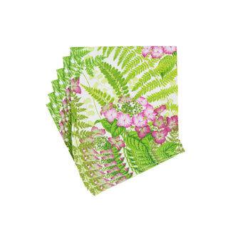 Fern Garden  Napkin Box Cocktail - 40 per box
