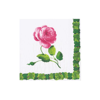 Sceaux Chic Boxed Cocktail Napkins - 40 Per Box