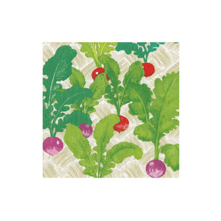 Radish Patch Boxed Cocktail Napkins - 40 Per Box