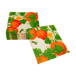 Pumpkin Chintz White Cocktail Napkins - 20 Per Package