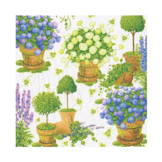 Potted Hydrangeas Napkin Luncheon