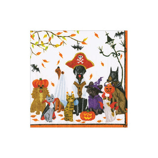 Halloween Pets Recycled Cocktail Napkins - includes 20 Cocktail Napkins