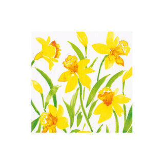 Spring Herald Boxed Cocktail Napkins - 40 per box