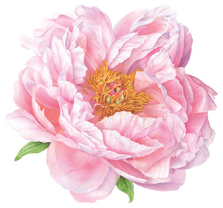 Pink Peony Placemats - 1 Each