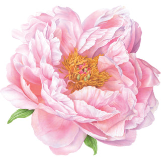 Pink Peony Hardback Placemat - 1 count