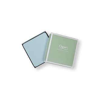 Soft Aqua Square Lizard Coasters - set of 8