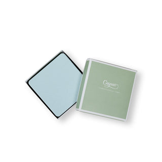 Soft Aqua Square Lizard Coasters - set of 8
