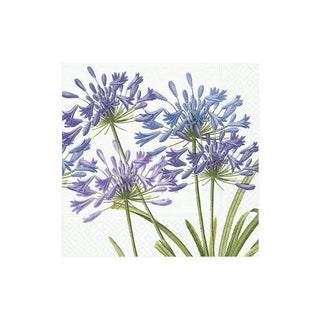 Agapanthus 2 Napkin Cocktail
