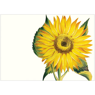 Sunflower Assorted Notes 8 In