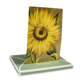 Sunflower Assorted Notes 8 In