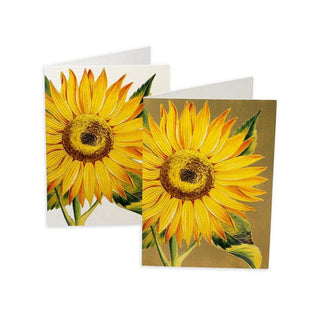 Sunflower Assorted Notes 8 In