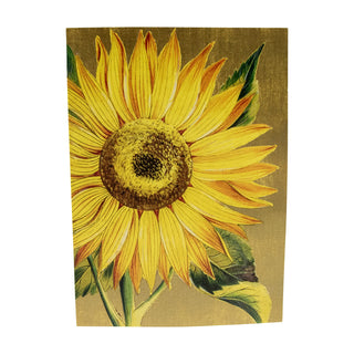 Sunflower Assorted Notes 8 In