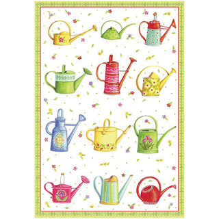 Watering Cans Eday N Size-Get Well
