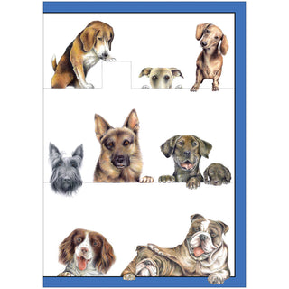 Dogs Assorted Notes 8 In
