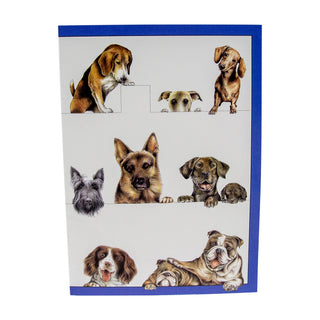 Dogs Assorted Notes 8 In