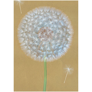 Wish Notes 8 In