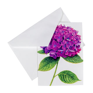 Hydrangeas Assorted Notes 8 In