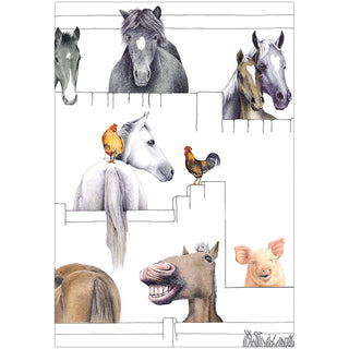 Horsing Around Eday N Size-Birthday (Ff)