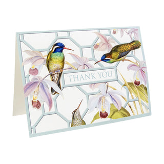 Hummingbird Trellis Thank You Notes Boxed 8 In