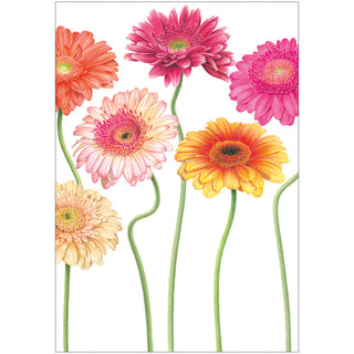Gerbera Daisies Mother's Day Greeting Card - 1 card with envelope