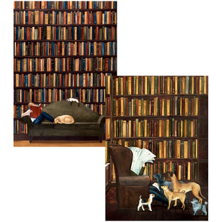 The Library Assorted Notes 8-In Box